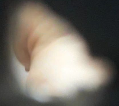 151559