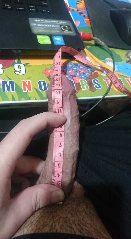 55684