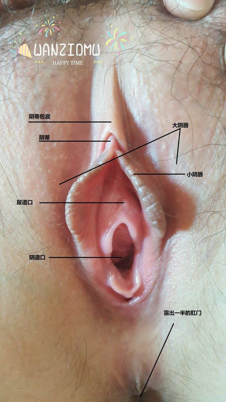 54791