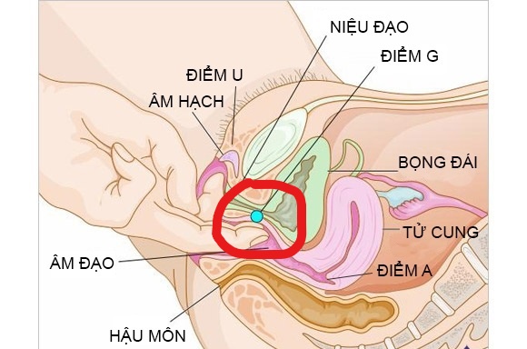 InkedThuoc dat am dao 2_LI.jpg