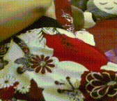 lon.gif