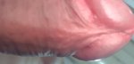 20230411_070917.jpg