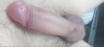 IMG_8189.jpeg