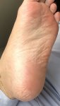 IMG_4067.jpeg