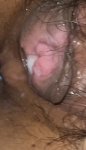 IMG_6009.jpeg