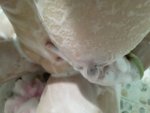 IMG_20210617_134905.jpg