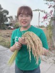FB_IMG_1644063629523.jpg