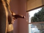 IMG_20220310_060932_393.jpg