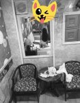 DD2C92D7-B53A-45ED-91E9-D104FA3FE323.jpeg