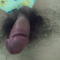 Van anh