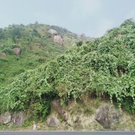 Ken Đà nẵng 97