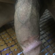Chàngcôđơn