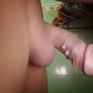 Vinh vinh