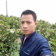 Hoàng109