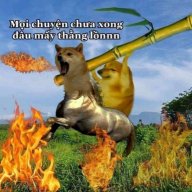hxxtruong