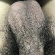 luan1994