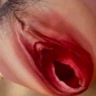 Duylk
