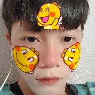 Trai 17t