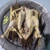 Timmaybay.bd