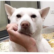 Trường lâu ra
