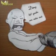 HD Thái Bình