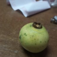 Kapu
