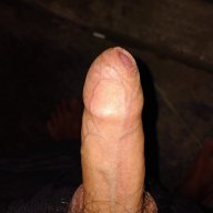 Biển Tình