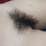 Hi788