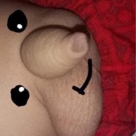 Sánghenry