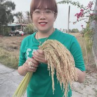 Mai đít Bư