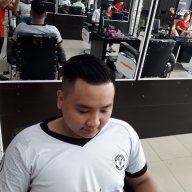 Thaidegea