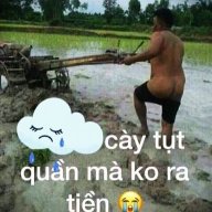 ThitDu
