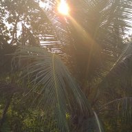 Minh Mẫn
