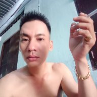 Q.việt