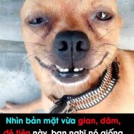 Cần e nc xxx