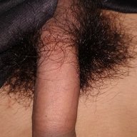 Dung đieu