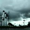 Trai zin bình dương