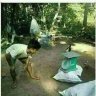Thằng khờ này khôn