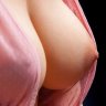 Điền bá Quang67