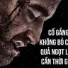 Họa Mi Bé Bỏng