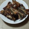 Tịnhave
