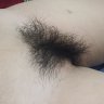 Hi788