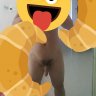 vozer.kudai