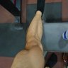 Arnold88