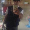 Vu thanh