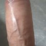 Phody