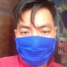 Phan tung