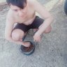 monle