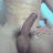 Chanvuno1