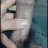Binh1992994